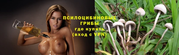 прущий лед Алексин