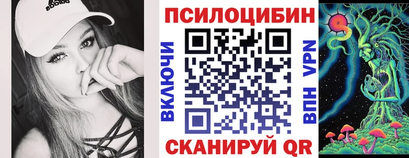 Псилоцибиновые грибы Psilocybe Спасск